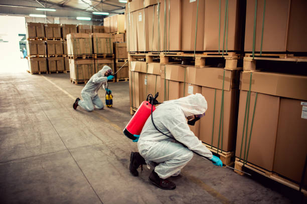 Best Pest Control Near Me in Ackley, IA