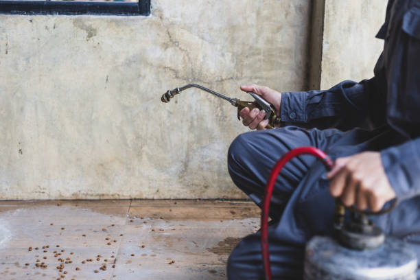 Best Best Pest Control Companies  in Ackley, IA